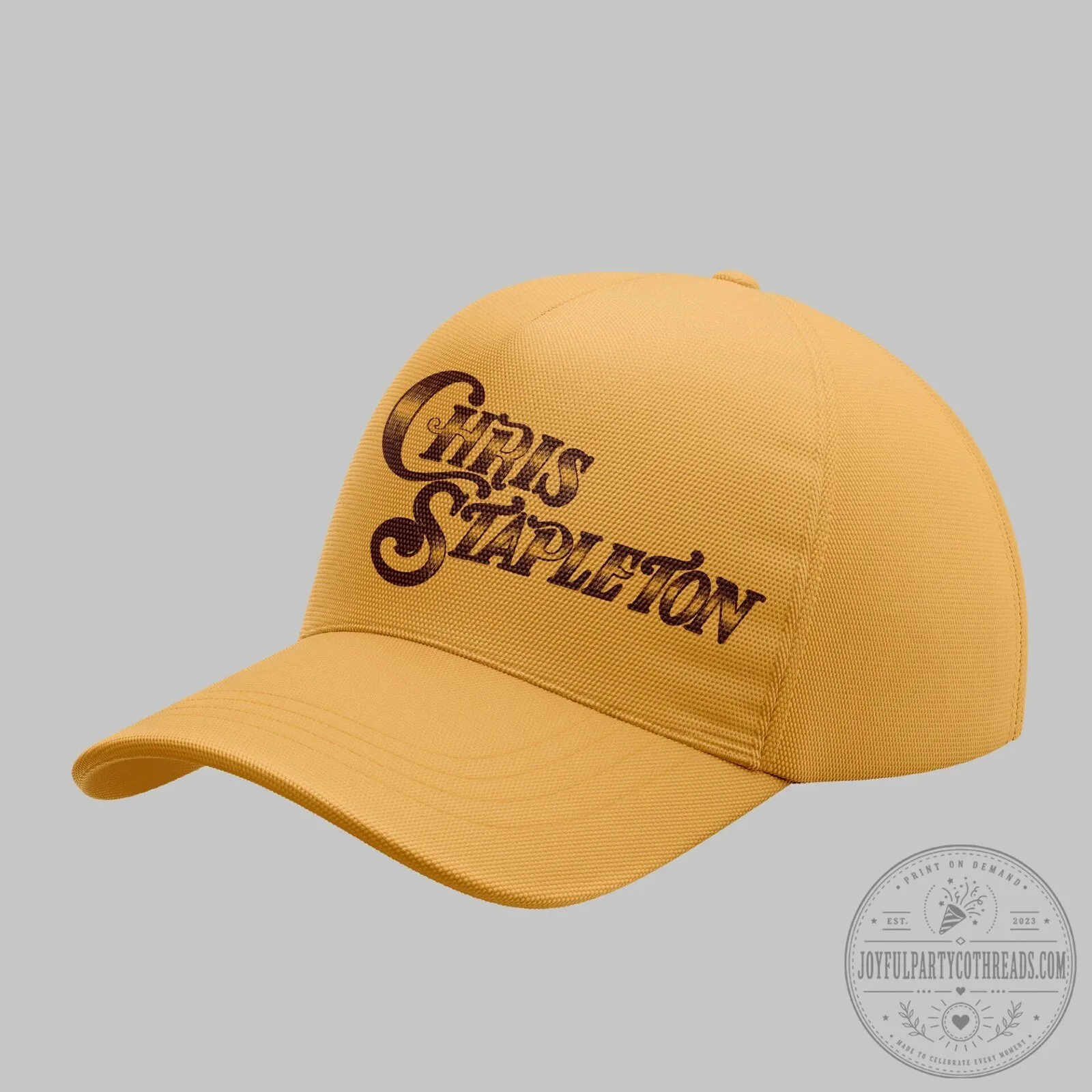 Chris Stapleton All American Road Show Music Tour Cap Hat